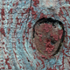 Illustration for article titled 36 Tantalizing Photos Of Textures